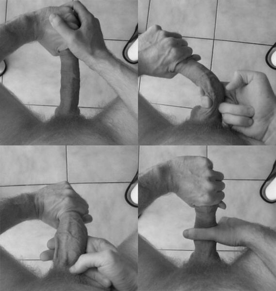 Flexion of the penis to increase organ size